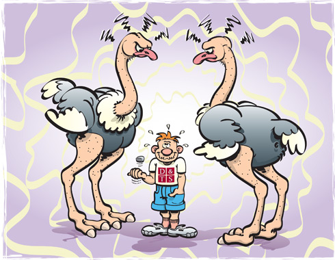 Struisvogels illustratie